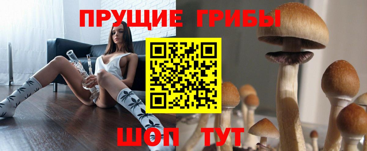 Псилоцибиновые грибы GOLDEN TEACHER  Вход с VPN  Лесосибирск 